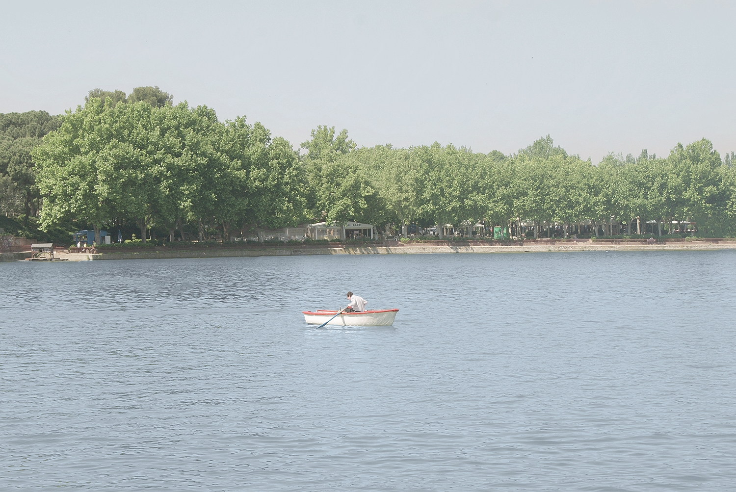 Wide view of lake with fountain in urban park landscape, A Man in a Park.