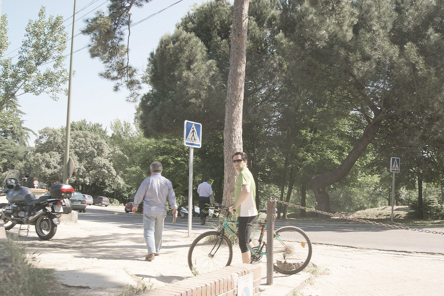 Man walking bicycle at park crossing with road signs, A Man in a Park