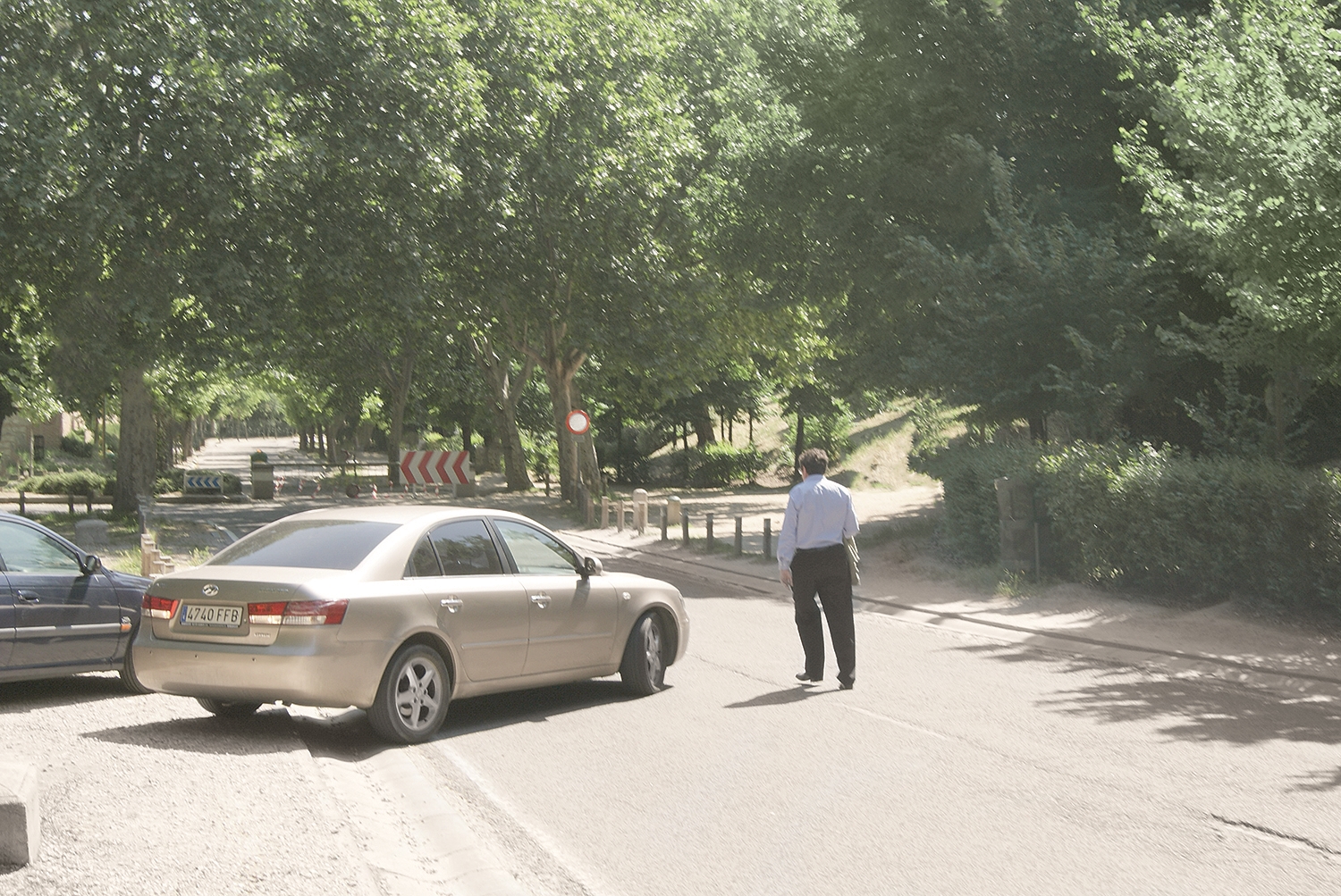 Man standing near parked car on quiet park road, A Man in a Park