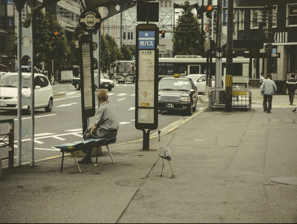 Japan Snapshots, Eufalia