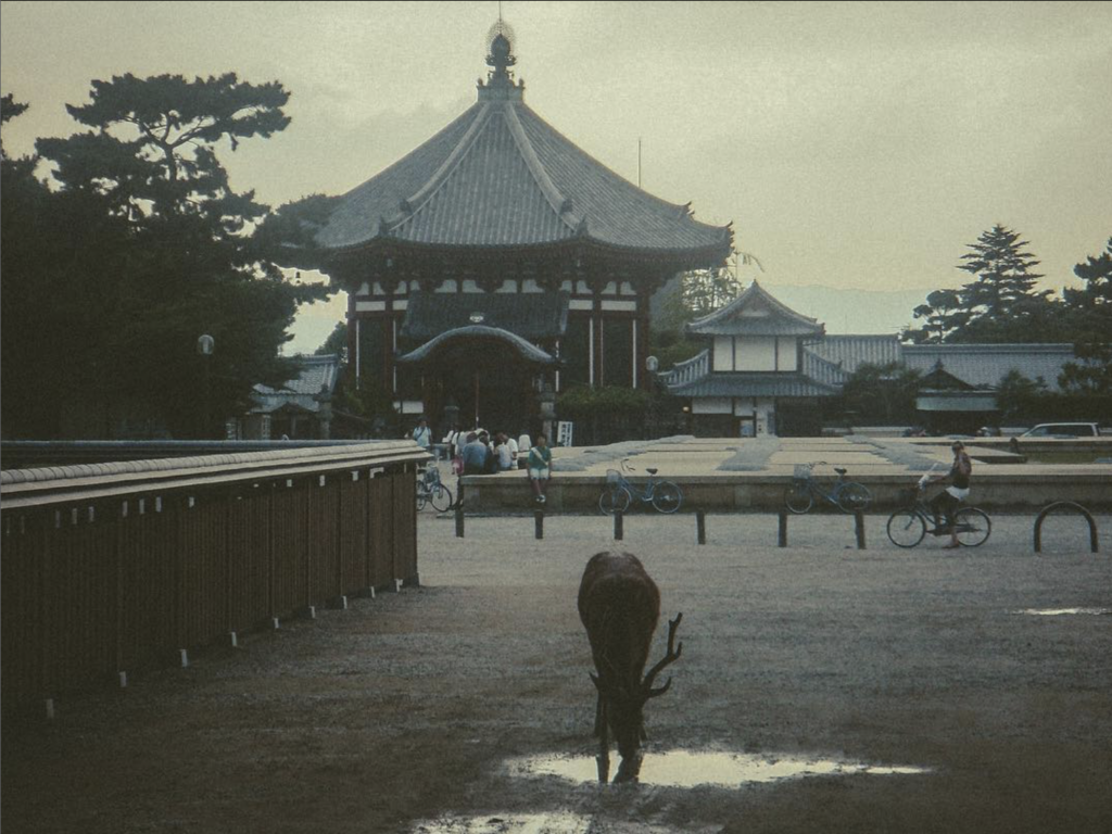 Japan Snapshots, Eufalia