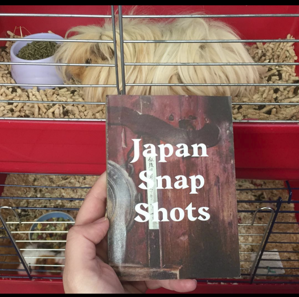 Japan Snapshots, book cover,  Eufália