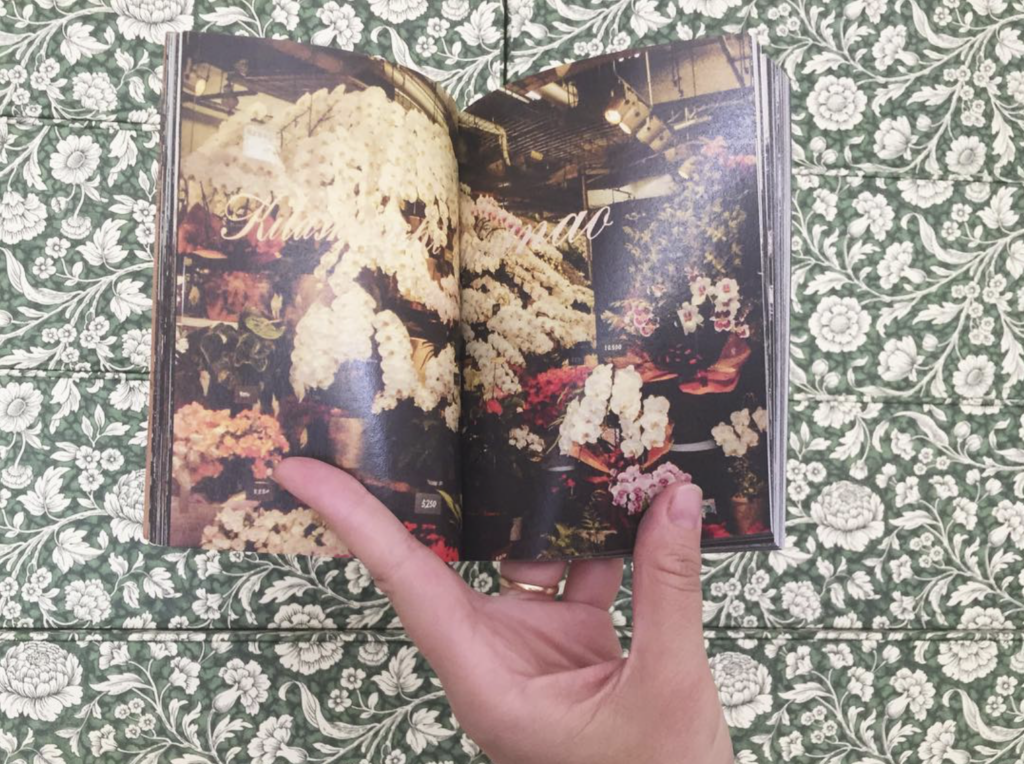 Japan Snapshots, Eufalia