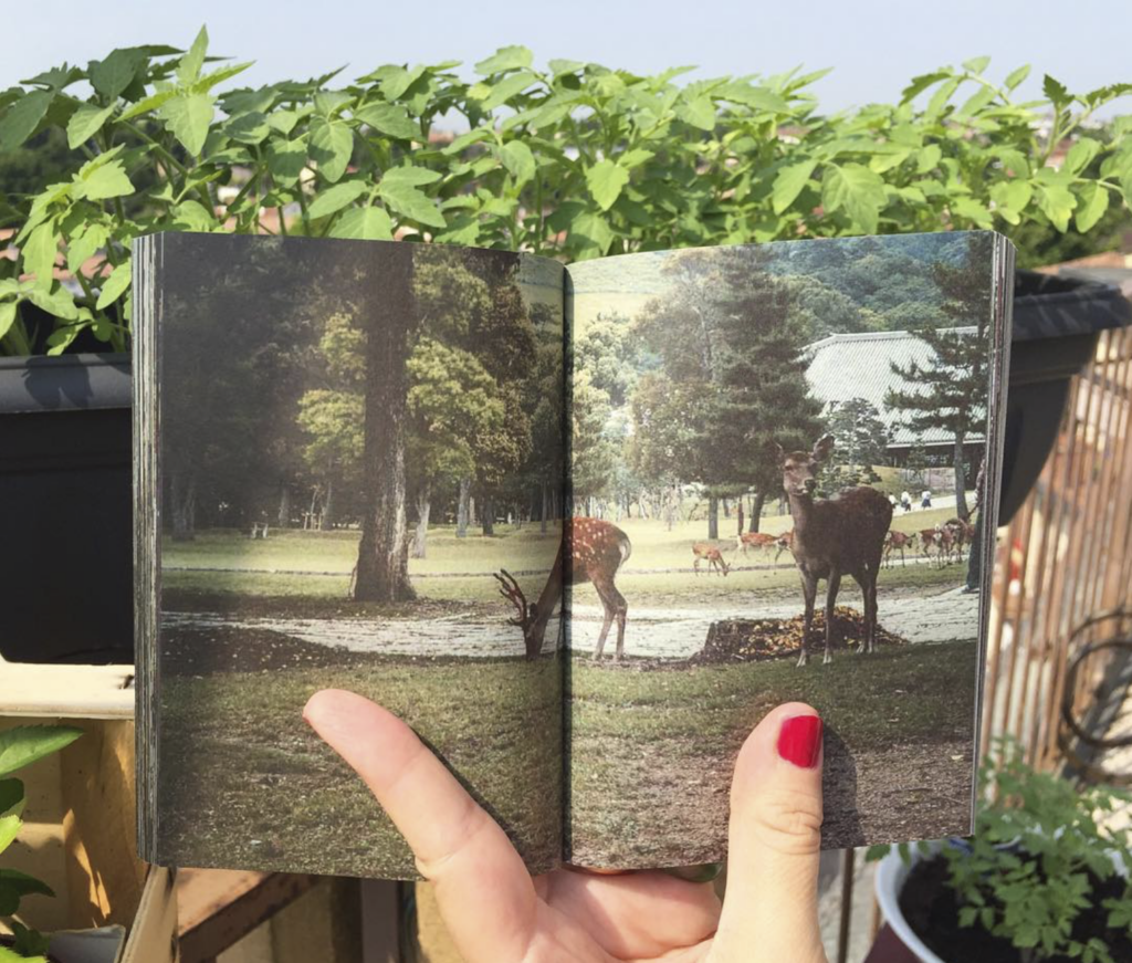 Japan Snapshots, Eufalia