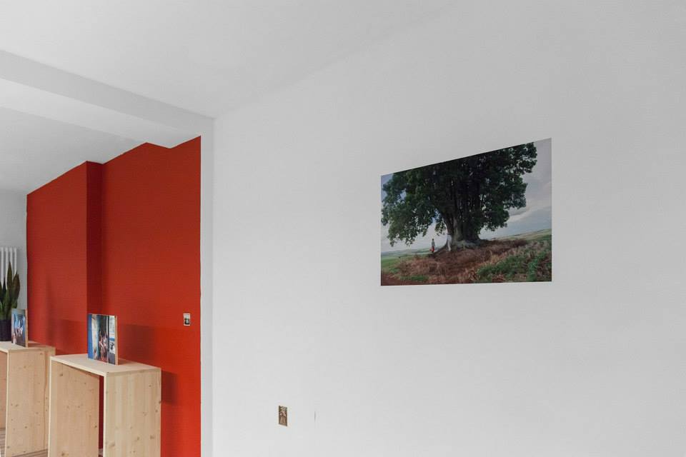 Solo show, O Destino De Um Exhibition view. Coração, Treviso, Italy