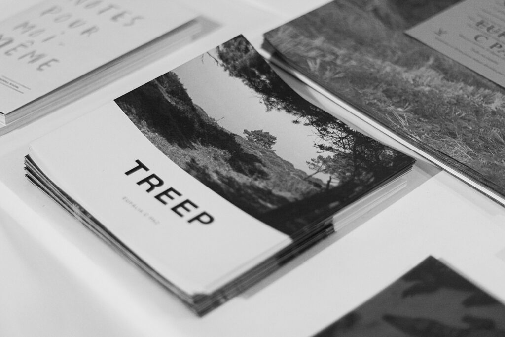 Cover zine Treep, photography fair Eufalia