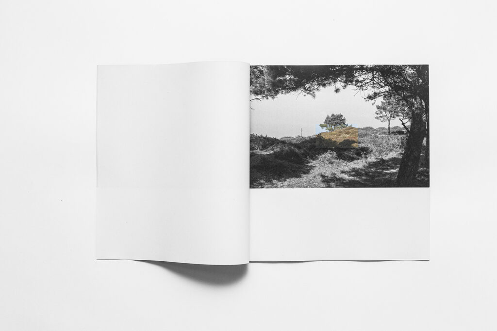 Open zine spread from Treep with page partially turned over landscape image.