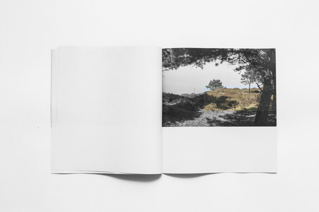 Open zine spread from Treep with centered landscape image on minimal layout.