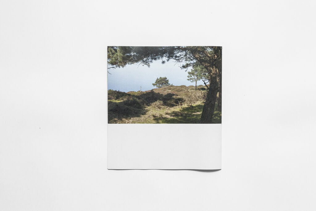 back cover zine Treep, Eufalia