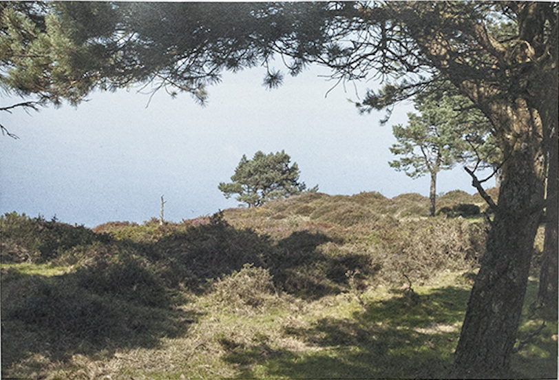 Treep, Eufalia 